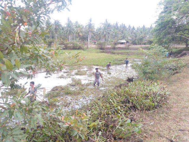 ග්‍රාමීය ආර්ථික පුනර්ජීවන කමිටු